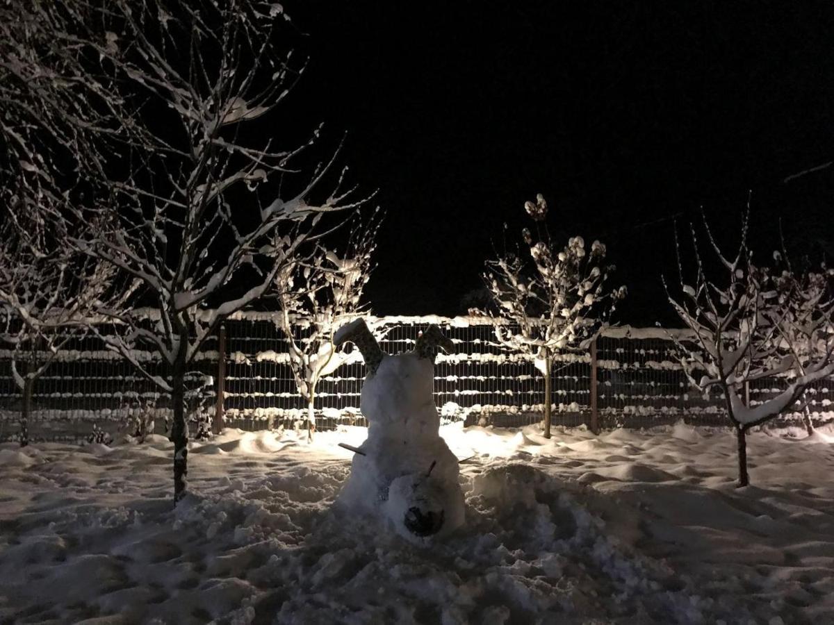 Cabana Jasmin Băile Chirui Buitenkant foto