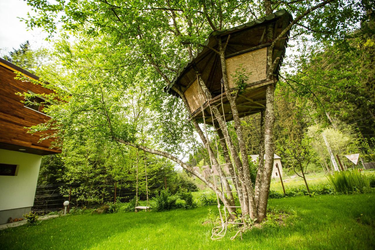 Cabana Jasmin Băile Chirui Buitenkant foto